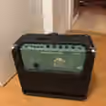 Stagg 60 BA &ndash; 60W baskytarov&eacute; kombo
