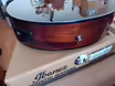 IBANEZ AEG70L-TIH - Tiger Burst High Gloss