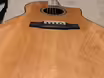 Larrive&eacute; LSV-11CE včetně BAM case