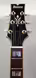 IBANEZ Artstar AF 120