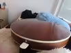Ibanez B200 banjo 5 pětistrunn&eacute; fivestring 