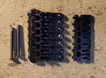 Kobylka Schaller Hannes 7