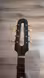 Mandol&iacute;na 