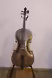 Francouzsk&eacute; violoncello 1/2