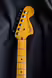 Fender American Pro II Telecaster Deluxe