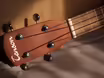 Prod&aacute;m sopr&aacute;nov&eacute; ukulele TENSON