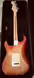 Fender Stratocaster 2008