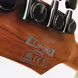 Ibanez RGEW521FM-NTF Exotic Wood &ndash; DiMarzio & Roasted Maple
