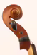 Housle