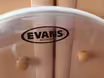 Evans EQ3 22" 