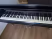 Prod&aacute;m piano / kř&iacute;dlo Rous &ndash; 10 000 Kč