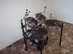 Bic&iacute; Sonor