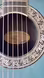 Ovation Collectors Series 1982-8 USA