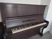 Prod&aacute;m koncertn&iacute; piano