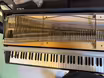 Fender Rhodes MKII - 88
