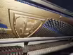 Prod&aacute;m koncertn&iacute; piano
