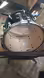 Pearl Masters Premium Rack Tom 14"x11