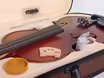 Sada housl&iacute; SoundSation Virtuoso 4/4, pouzdra a dal&scaron;&iacute;ho 