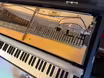 Fender Rhodes MKII - 88