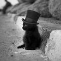 Jakub.Vacek