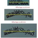 Vodové obtisky (Decals) loga Ernie Ball MUSIC MAN Sting Ray