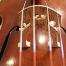 Prodám violoncello model Davidov 1712