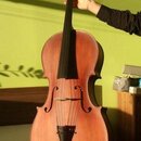 Celomasívní violoncello 4/4
