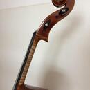 Violoncello