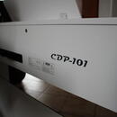 Digitální piano ORLA