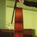 Celomasívní violoncello 4/4