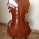 Violoncello