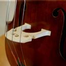 Prodám violoncello model Davidov 1712