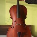 Celomasívní violoncello 4/4