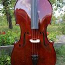 Celomasivní violoncello 7/8