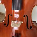 Violoncello