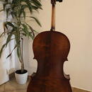 Prodám 4/4 violoncello