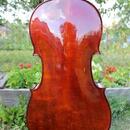 Celomasivní violoncello 7/8