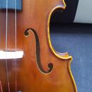 Viola 39,5 cm