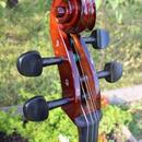 Celomasivní violoncello 7/8