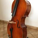 Violoncello