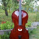 Celomasivní violoncello 7/8