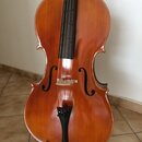 Violoncello