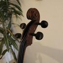 Prodám 4/4 violoncello