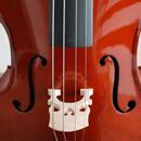 Violoncello 3/4, 4/4