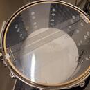 Snare Ludwig Maple Classic