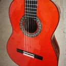 1a mistrovská koncertni gitara PACO de LUCIA