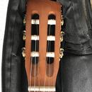 Prodám klasickou kytaru Art & Lutherie AMI (Made in Canada)