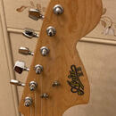 Aria Stratocaster, r. v. 1976, Made in Japan