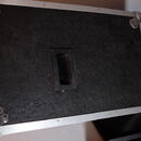 Selestion G12-100