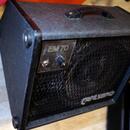 Prodam passive monitor CARLSBRO EM70